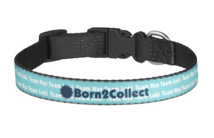 Born2collect Dog/Cat Collar and Lead